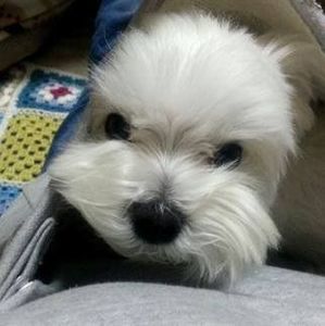 Meet your Posher, Tony